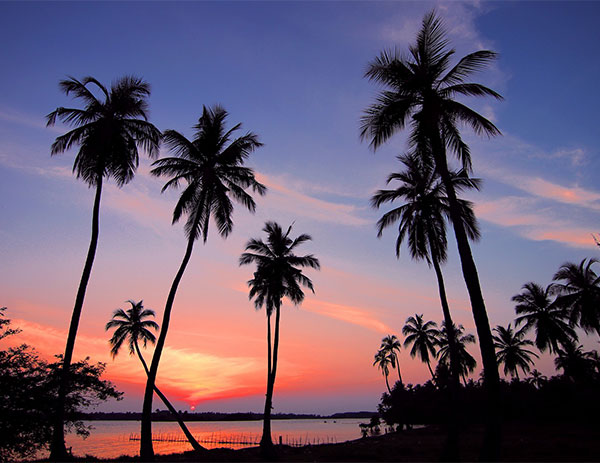 Family & Friends Premium